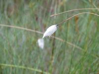 Rundreise Baltikum - Laheema-Nationalpark