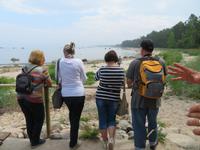 Rundreise Baltikum - Laheema-Nationalpark, Altja