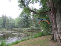 Rundreise Baltikum - Laheema-Nationalpark, Gutshaus