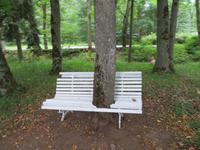 Rundreise Baltikum - Laheema-Nationalpark, Gutshaus