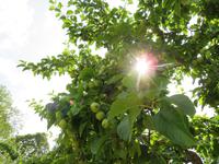Rundreise Baltikum - Laheema-Nationalpark, Gutshaus Palmse