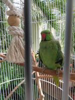 Rundreise Baltikum - Laheema-Nationalpark, Gutshaus Palmse