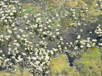 Rundreise Baltikum - Laheema-Nationalpark, Gutshaus Palmse