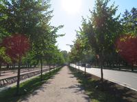 Rundreise Baltikum - Katharinenpark