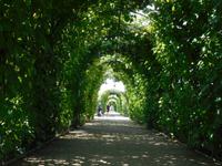 Lettland_Rundale (6)