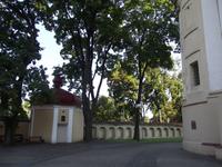Peter und Paul - Kirche, Vilnius