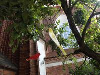 St. Anna-Kirche und Bernhardinerkloster, Vilnius