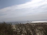 Kurische Nehrung, Hohe Düne