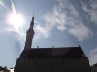 Tallinn, Rathaus