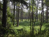 Lahemaa-Nationalpark