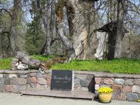 Das Grab von Maja, der Rose von Turaida