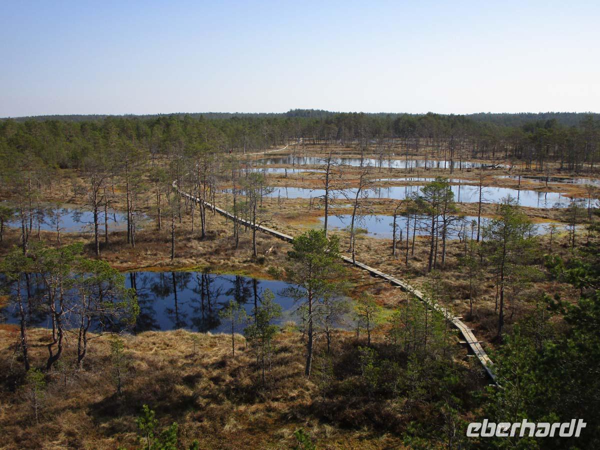 Moor im Lahemaa Nationalpark
