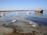 Ostseeküste bei Altja