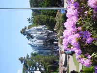 Helsinki_Sibeliusdenkmal