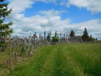 Schaulen_Berg_der_Kreuze (2)