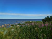 Estland_Laheema_Nationalpark_Altja (6)