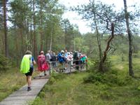 DSCN3857  Wanderung im Park