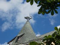 DSCN3896  die Katze auf dem Dach