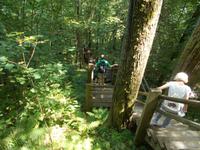 DSCN3934  Wanderung zur Gutmannshöhle