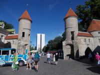 DSCN3984  Viru Pforte