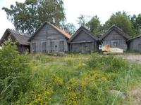 DSCN3992  Netzhäuser Altija