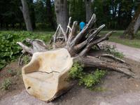 DSCN4008  Sitzgelegenheit