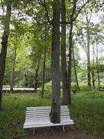 DSCN4009  gut gewachsen - Durchbruch