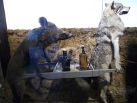 DSCN4031 wo wollen die denn hin ?