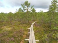 Laheema_Nationalpark_Moor (1)