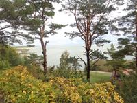 Nida, Blick vom Thomas-Mann-Haus