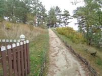 Nida, Blick vom Thomas-Mann-Haus