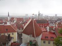 Tallinn