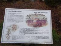 Lahemaa Nationalpark