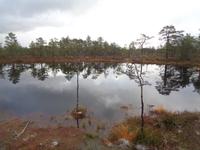 Lahemaa Nationalpark