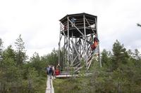 Wanderung im Lahemmaa-Nationalpark