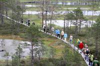 Wanderung im Lahemmaa-Nationalpark
