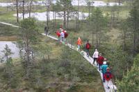 Wanderung im Lahemmaa-Nationalpark