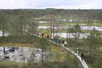 Wanderung im Lahemmaa-Nationalpark
