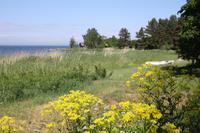 Ostseeküste beim Fischerdorf Altja