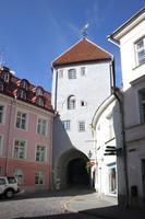 Torbogen zur Oberstadt Tallinns