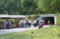Spaziergang zur Gutmannshöhle