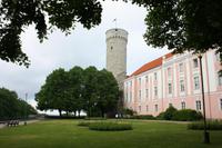 Der lange Hermann in Tallinn