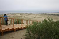 Wanderdünen der Kurischen Nehrung