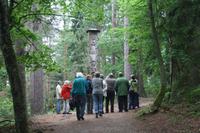 Spaziergang über den Hexenberg in Schwarzort