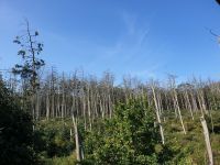 0301 Kurische Nehrung 