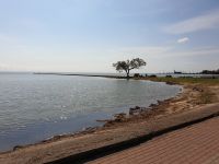 0308 Kurische Nehrung 