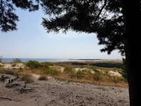 0310 Kurische Nehrung 