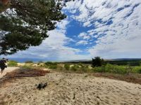 Litauen - Kurische Nehrung