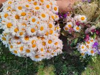 Lettland - Riga - Johannifest