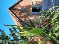 Lettland - Gauja Nationalpark - Turaida